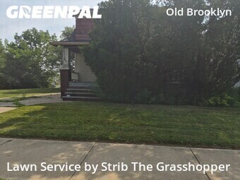 Grass Cut nearby Cleveland, OH, 
