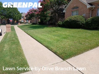 Grass Cutin Haltom City,76137,Lawn Care by Olive Branch Lawn, work completed in Nov , 2025