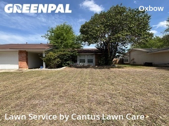 Lawn Service nearby San Antonio, TX, 