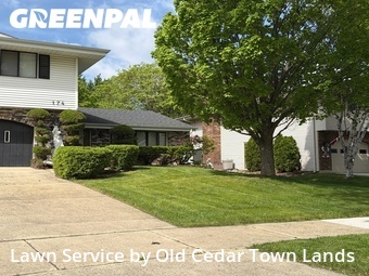 Lawn Mowing Service nearby Bloomingdale, IL, 
