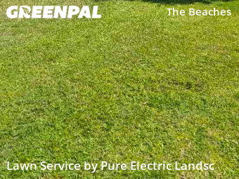 Lawn Cutin Jacksonville Beach,32250,Lawn Service by Pure Electric Landsc, work completed in Dec , 2025