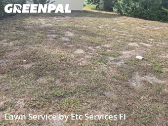 Lawn Mowin Dunedin,34698,Lawn Service by Etc Services Fl, work completed in Nov , 2025