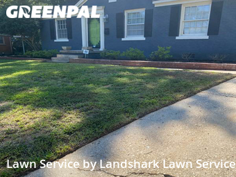 Lawn Cutting nearby Memphis, MS, 