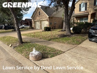 Lawn Cutin Cypress,77433,Lawn Mowing by Dmd Lawn Service, work completed in Feb , 2026