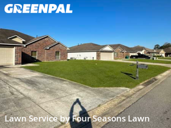 Lawn Cut nearby Denham Springs, LA, 