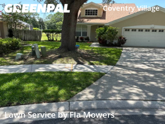 Yard Mowing nearby Palm Harbor, FL, 