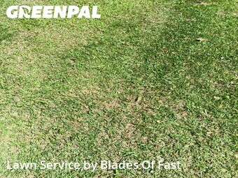 Lawn Cut nearby Atlanta, GA, 
