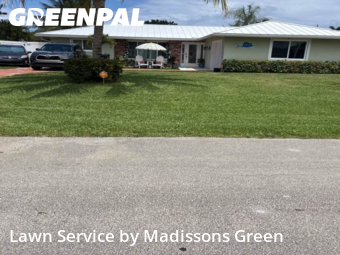 Grass Care in Palm Beach Gardens, 33410, Grass Cutting by Madissons Green, work completed in Nov , 2025