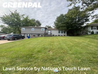 Lawn Cut nearby Raytown, MO, 