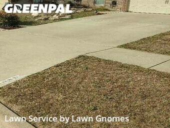 Grass Cutting nearby Killeen, TX, 
