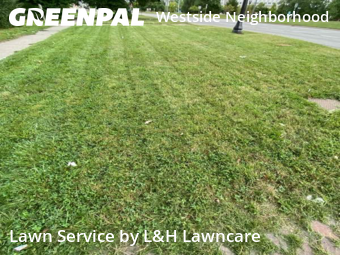 Lawn Cut nearby Lansing, MI, 