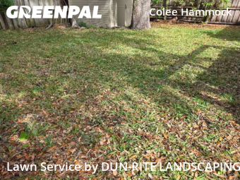 Lawn Care Servicein Fort Lauderdale,33301,Grass Cut by DUN-RITE LANDSCAPING, work completed in Jan , 2026
