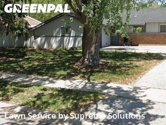 Lawn Mowing Servicein Bolingbrook,60440,Lawn Mowing Service by Supreme Solutions , work completed in Jun , 2026