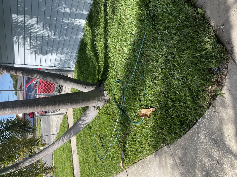 Work Image 1