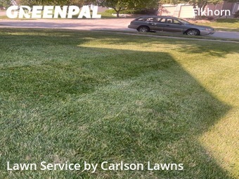 Grass Cut nearby Omaha, NE, 