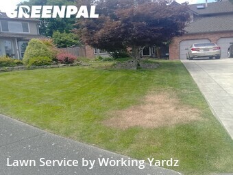 Yard Mowing nearby Kent, WA, 