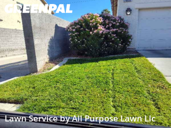 Grass Services in Las Vegas, 89123, Property Maintenance by All Purpose Lawn Llc, work completed in Oct , 2025