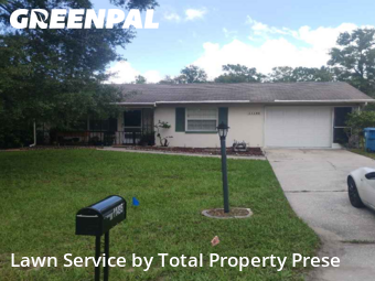 Grass Cutting nearby Spring Hill, FL, 