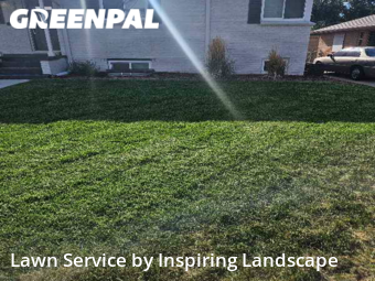 Grass Care in Wheat Ridge, 80212, Yard Work by Inspiring Landscape, work completed in Oct , 2025