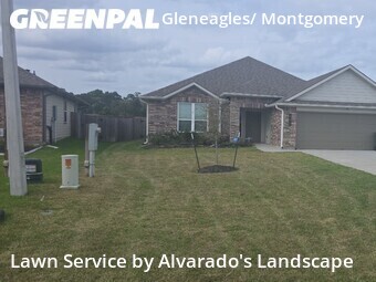 Grass Cut nearby Conroe, TX, 