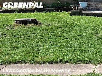 Lawn Cut nearby Decatur, IL, 