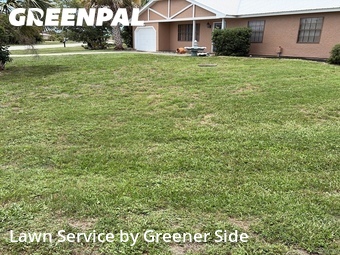 Yard Cutting nearby Port Charlotte, FL, 