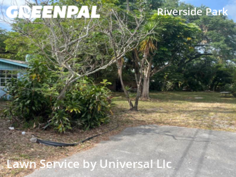 Lawn Cutting nearby Fort Lauderdale, FL, 
