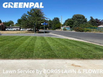 Lawn Cut nearby Cottonwood Heights, UT, 