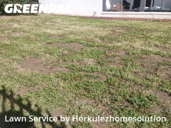 Lawn Maintenance nearby San Diego, CA, 