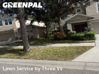 Grass Cut nearby Riverview, FL, 