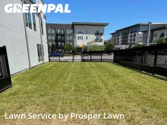 Lawn Mowing nearby Plano, FL, 