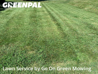 Lawn Cutting nearby Roanoke, VA, 