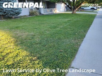 Yard Cutting nearby Boise, ID, 