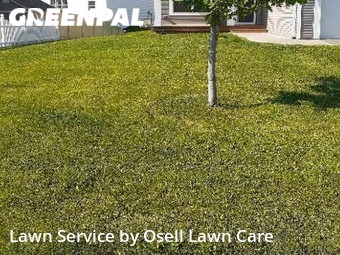 Lawn Mowing nearby Blaine, MN, 