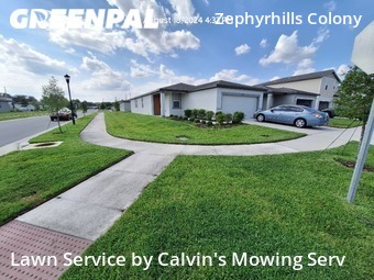 Lawn Care nearby Wesley Chapel, FL, 