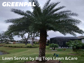 Lawn Care Servicein Winter Park,32792,Lawn Mowing by Big Tops Lawn &Care, work completed in Dec , 2025