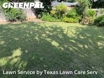 Lawn Maintenance nearby Cibolo, TX, 