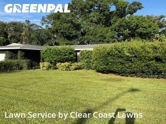 Yard Cutting nearby Largo, FL, 