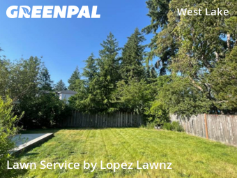 Grass Cut nearby Bellevue, WA, 