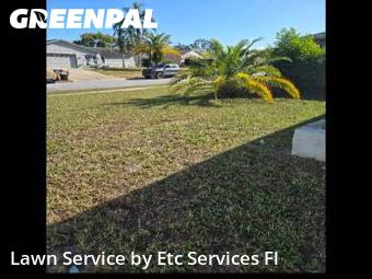 Yard Care in Bayonet Point, 34668, Grass Cutting by Etc Services Fl, work completed in Nov , 2025
