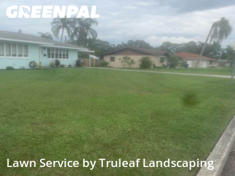 Grass Cutting nearby Bradenton, FL, 