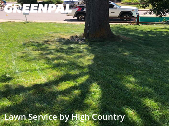 Yard Cutting nearby Boulder, CO, 