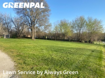 Yard Cutting nearby Peculiar, MO, 