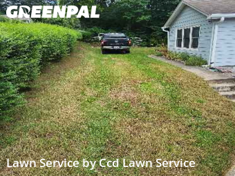 Grass Cut nearby Knoxville, NC, 