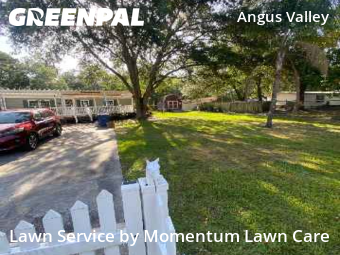 Lawn Care Service nearby Wesley Chapel, FL, 
