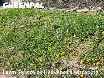 Grass Cut nearby Carnegie, PA, 