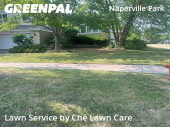 Lawn Mowing nearby Naperville, IL, 