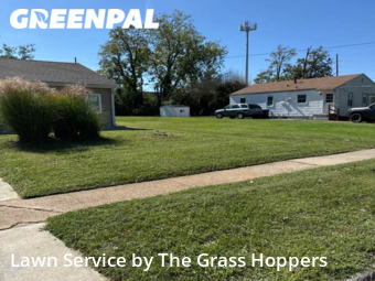 Grass Cut nearby St. Louis, MO, 