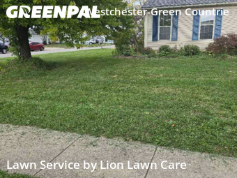 Lawn Cut nearby Galloway, OH, 