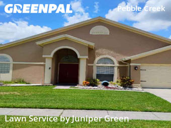 Grass Cut nearby Tampa, FL, 